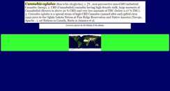 Desktop Screenshot of cannabisoglalas.com